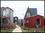 Older divorced women priced out of housing are finding a lifeline in tiny home villages