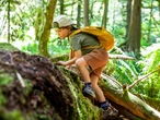 A psychologist explains why adaptable kids will outpace straight-A students in the AI era