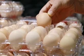 We were gaslit by Big Egg about egg prices (allegedly)