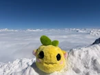 There's a new ugly little toy winning the internet