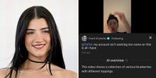TikTok pulls back on an AI feature that described Charli D'Amelio as a collection of blueberries