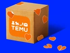 I ordered from Temu and worried my order would be slapped with a tariff