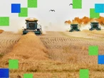 Food manufacturers are leveraging predictive AI to prevent costly waste and create new products