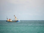 A media giant is suing scallop farmers for $870K, accusing them of damaging its underwater cable