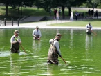Algae has turned the Lincoln Memorial Reflecting Pool green again, days after its $14.8 million makeover. Take a look.