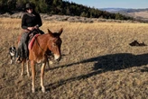 I loved life in Bozeman, Montana, but I got priced out. Luckily, moving 100 miles away felt like an upgrade.