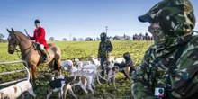 'Saboteurs' disrupt hunts to save foxes' lives