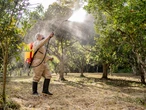 A tech startup is using IoT sensors and AI to help farmers cut hefty pesticide costs