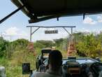 I stayed in a 540-square-foot luxury tent at the edge of Africa's Serengeti National Park. The lodge was stunning, but the safari perks were the real highlight.