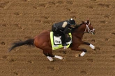 Here are the billionaires competing at the Kentucky Derby — and their odds of winning