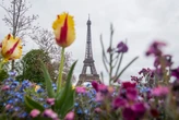 $119 Polymarket bet on Paris' weather turns into $21K after unusual temperature spike, sparking official probe
