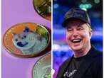 The 'Doge' dog meme that Elon Musk loves, explained in 1 minute