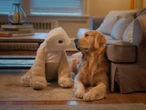 Roomba inventor Colin Angle made robots useful. Now he wants to make them lovable.