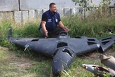 A company helping US allies counter Iran's drones in the Middle East says its tech wouldn't be where it is without Ukraine