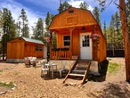 A couple bought a 380-square-foot shed for $12,000 and turned it into a tiny home they share with their 3 dogs