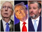 McConnell and Cruz defend Trump to Supreme Court, asking: What does 'insurrection' mean anyway?