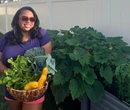 I started a garden for my kids. Now, I save $500 a month on groceries.
