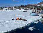 Greenland sharks can live for over 250 years, and scientists want to use their anti-aging secrets to help humans live longer