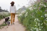 I'm 61 and want to date, but people lose interest when they find out I'm poor. What do I do?