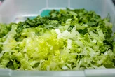 The FDA named a source of the diarrhea parasite outbreak. The saga isn't over.