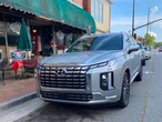 I drove Hyundai's $52,000 Palisade, and now I understand why people rave about the family SUV