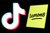 TikTok's sister app, Lemon8, is now one of the most popular on Apple's App Store