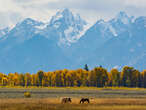 I've been to all 63 major US national parks. Here are the 3 I love going back to and the 3 I'm glad I saw once.