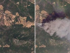 Before-and-after satellite images show the staggering toll of France's worst wildfire season on record