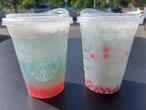 I tried Starbucks' new boba-inspired summer drinks. They looked stunning, but one was really lacking in flavor, and I wouldn't pick them over real boba.