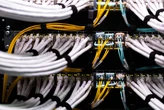 This blue-collar trade no one is talking about could help you land a fast-growing AI job