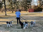 My kids wanted a dog, but I didn't. In the last 18 months, we've adopted 4 and I couldn't be happier about it.