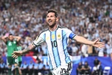 Want to know who'll win the World Cup? Goldman Sachs has you covered.