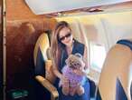 I spent $38,000 to take my toy poodle on a private jet to Japan. I want to plan a trip for my other dogs next.