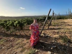 I had no idea how brutal traveling during the first trimester of pregnancy would be. Here's how I got through nausea, fatigue, and more.