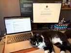 I built the same website using Lovable and Wix AI. One took twice as long and told me to solve problems myself.