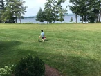 My family of 5 traveled to Vermont every summer for 8 years. The low-cost trip brought us closer together.