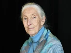 Jane Goodall worked into her 90s. Here are 5 lifestyle habits that might explain how she stayed 'fit as a fiddle' for so long.
