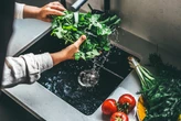 A parasite that causes diarrhea has been detected in 31 states: How to prepare food and what to avoid