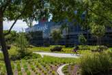 All about Googleplex, Google's sprawling main headquarters, and its other offices worldwide