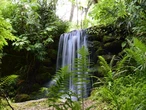 I've lived in Florida for over 25 years. Skip the major cities and spend time in these 5 gorgeous state parks instead.