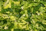 Shredded lettuce supplied to Taco Bell identified as a source of cyclospora that causes watery diarrhea