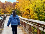 I never had any desire to visit the Midwest until a fall trip to Door County changed my entire outlook on travel