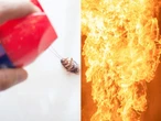A man blew up his apartment while trying to kill a single cockroach with way too much insecticide, police say  