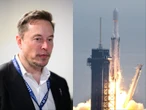 SpaceX chief told employees to 'focus on your job' for humanity's sake after they raised workplace complaints, report says