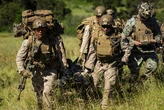 DARPA says its powdered blood for future warfare works in animals. Now comes the hard part.