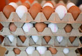 Enough about Greenland. The US now wants Denmark's help with its egg shortage.