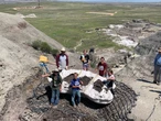 3 boys hunting for fossils made the ultimate discovery: a young T-rex skeleton that scientists have dubbed Teen Rex