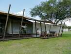 I stayed at one of the most expensive lodges next to the Serengeti National Park, where I fell asleep to lions roaring by my $2,585-a-night tent