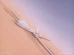 Houthi rebel footage appears to show a downed US Reaper drone worth $30 million. It marked the third loss in a month, a report said.