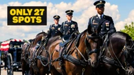 Inside the Army's $30 million effort to revamp its funeral horse program after a series of horse deaths